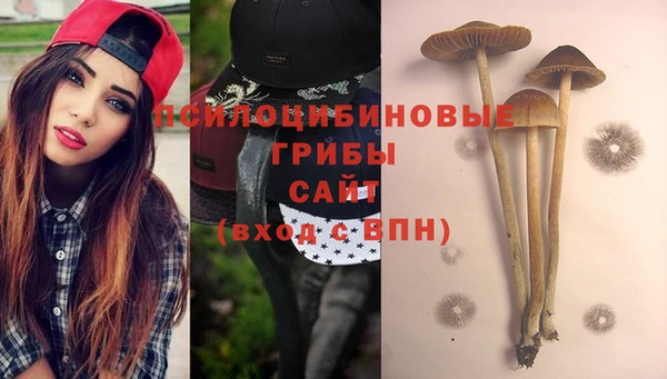 герыч Алексин