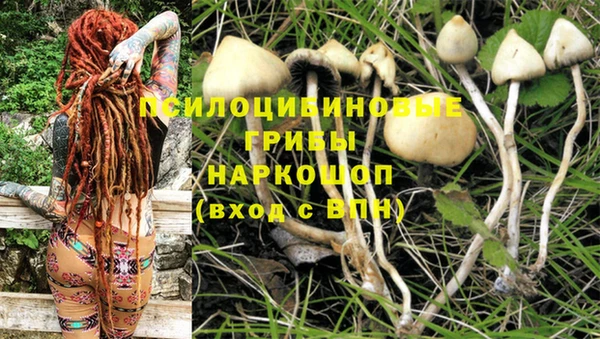герыч Алексин